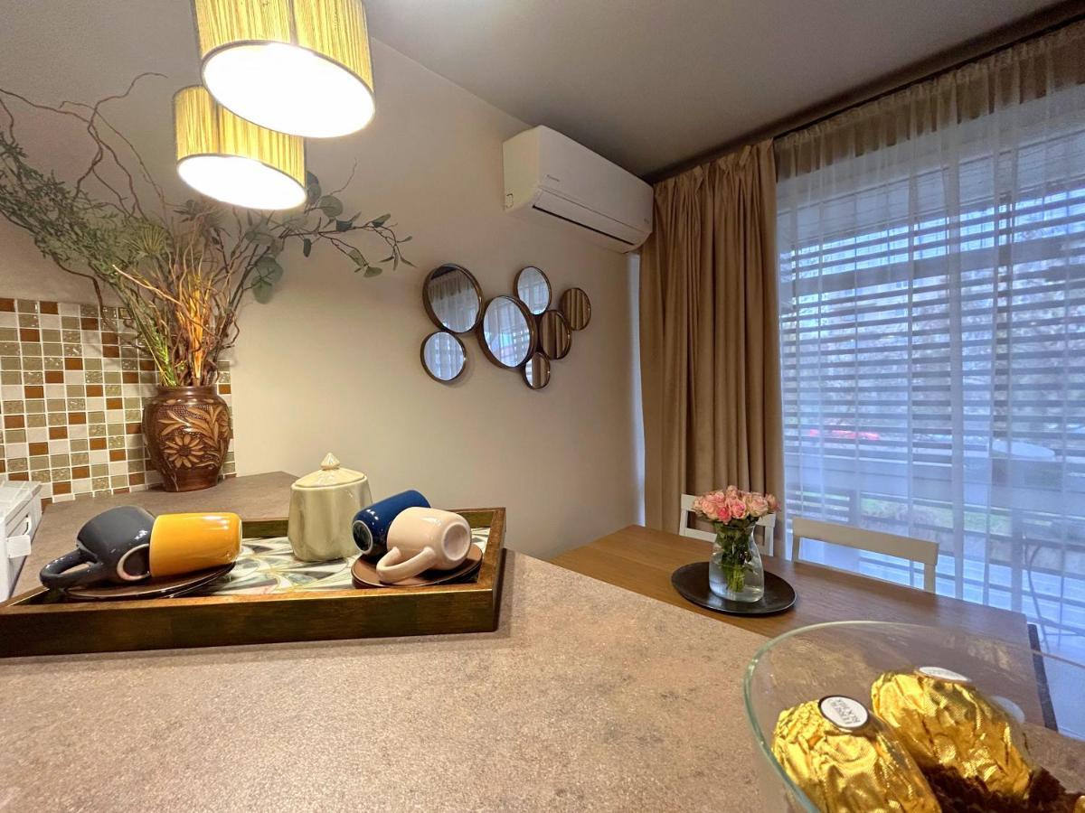 Thea Apartment Timişoara Buitenkant foto