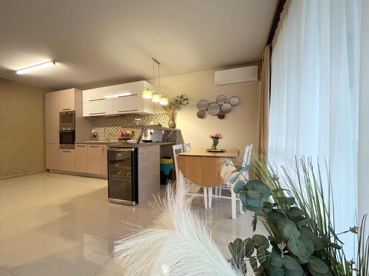 Thea Apartment Timişoara Buitenkant foto
