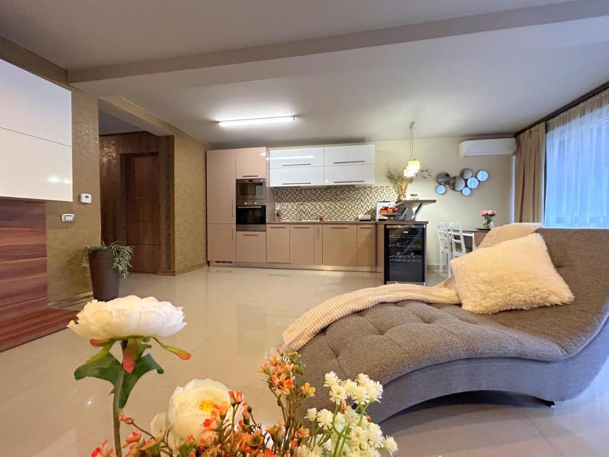 Thea Apartment Timişoara Buitenkant foto